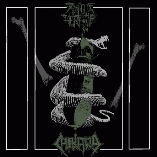 Chikara : Antigua Herejía - Chikara Chikara : Antigua Herejía - Chikara